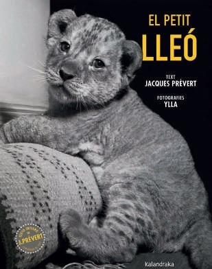 PETIT LLEO, EL