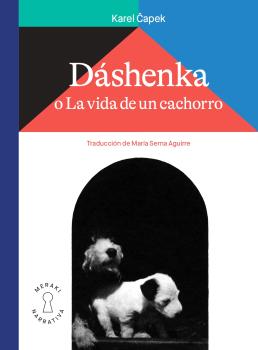 DASHENKA - CASTELLANO