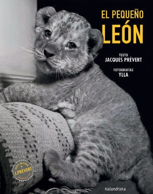 PEQUEÑO LEON, EL