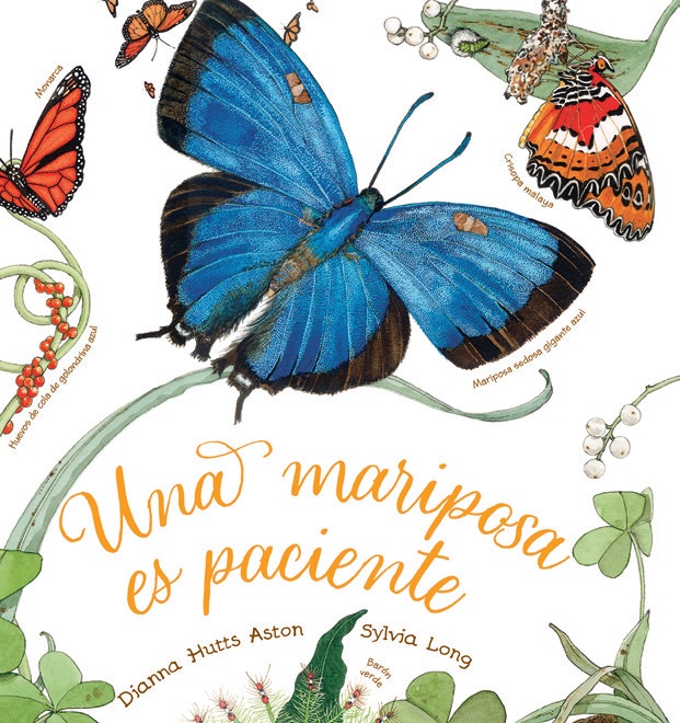 UNA MARIPOSA ES PACIENTE