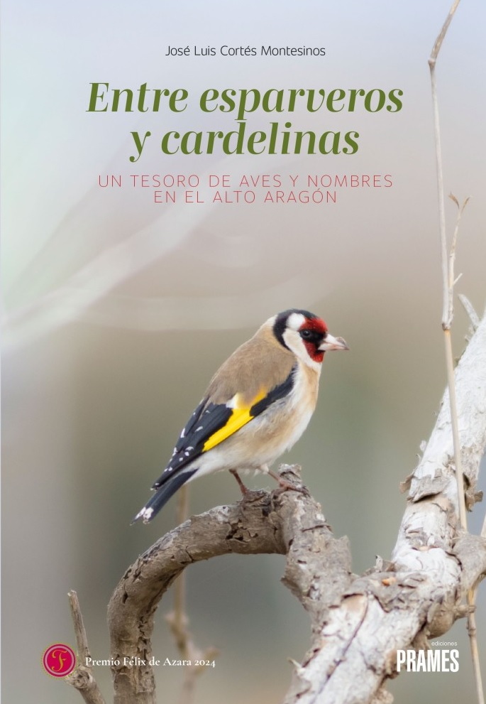 ENTRE ESPARVEROS Y CARDELINAS