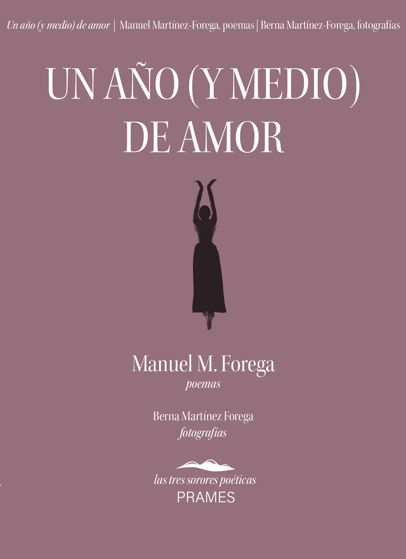 UN AÑO (Y MEDIO) DE AMOR