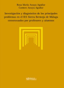 Investigación y diagnóstico de los principales problemas en el IES Sierra Bermeja de Málaga consensuados por profesores y alumnos
