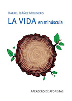 VIDA EN MINÚSCULA, LA