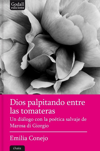 DIOS PALPITANDO ENTRE LAS TOMATERAS