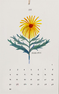 2025 CALENDARI GALA PONT
