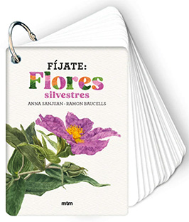 FÍJATE: FLORES SILVESTRES