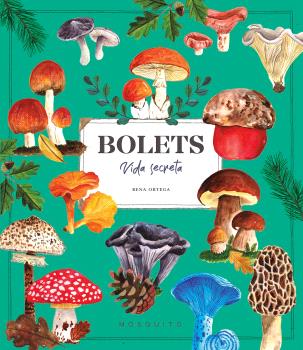 BOLETS