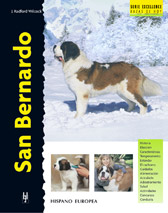 SAN BERNARDO