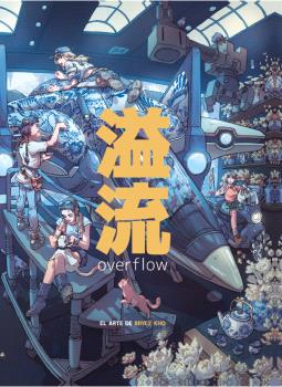 OVERFLOW