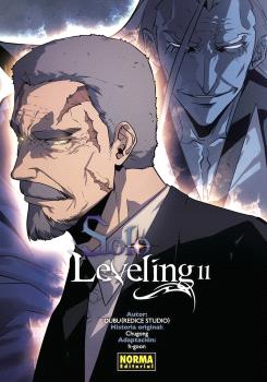 SOLO LEVELING  n. 11