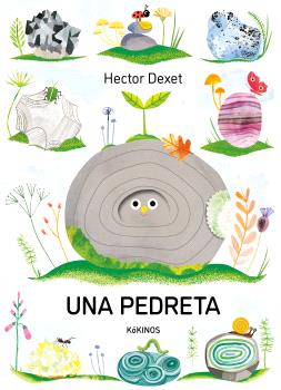 UNA PEDRETA